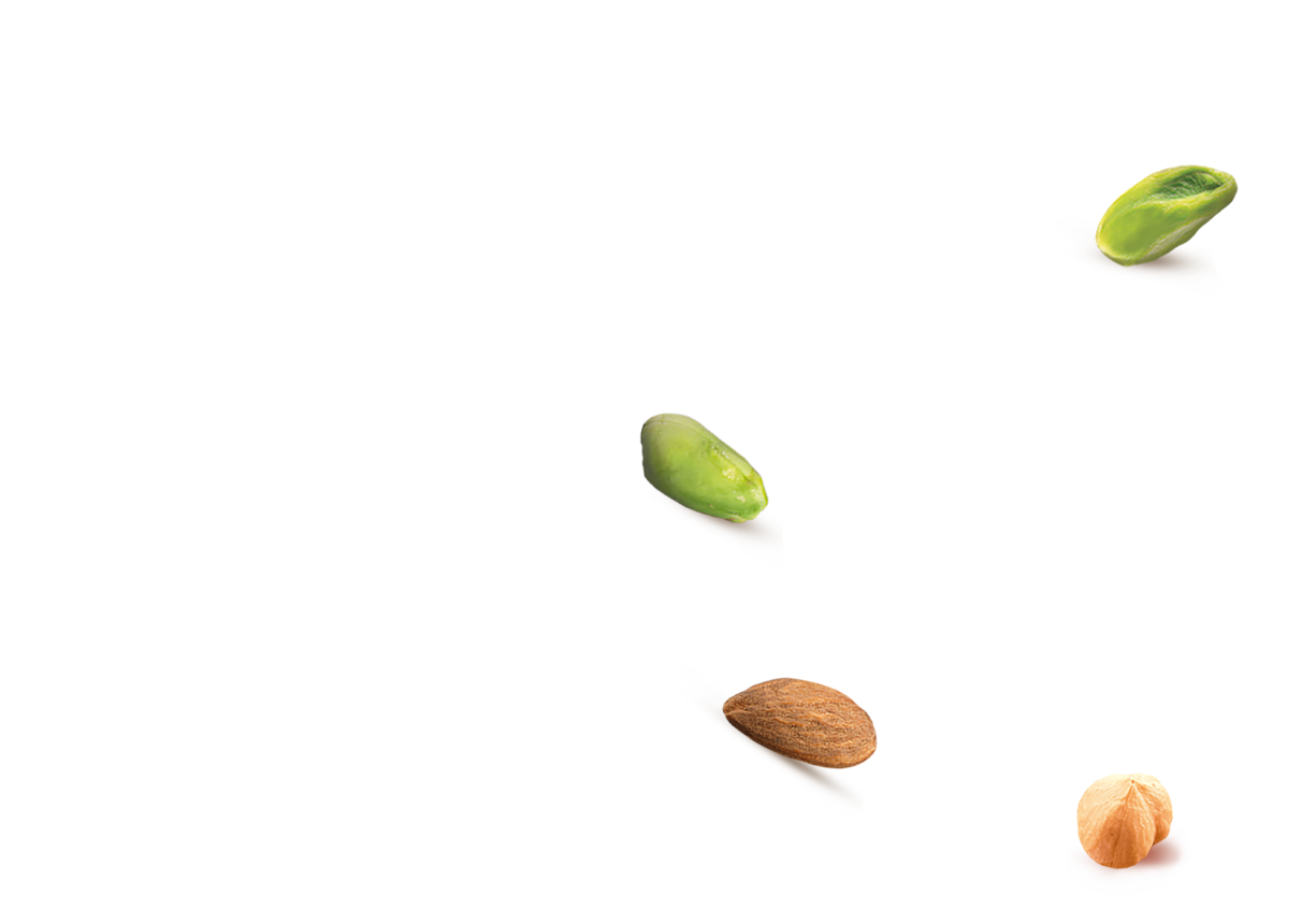 Pistacchi e nocciole singole